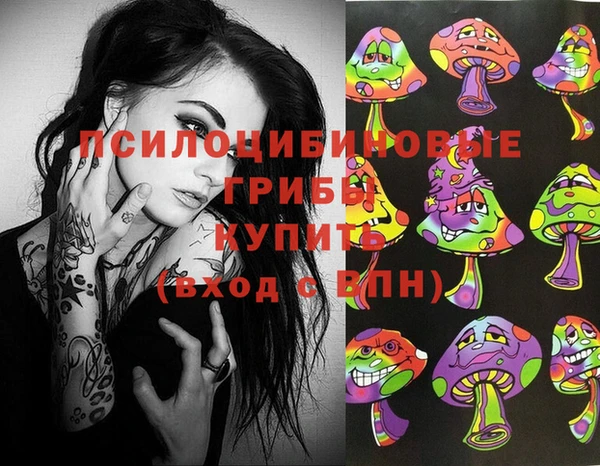 дурь Алексеевка