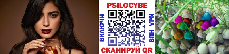 Галлюциногенные грибы Psilocybe  Осташков 